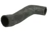 Kühlerschlauch THERMOTEC DWX281TT