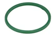 Dichtring, Ladeluftschlauch THERMOTEC DXW013TT