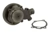Wasserpumpe, Motorkühlung THERMOTEC WP-CA111 Bild Wasserpumpe, Motorkühlung THERMOTEC WP-CA111
