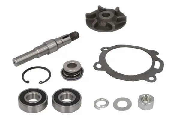 Reparatursatz, Wasserpumpe THERMOTEC WP-MF119