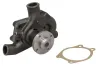 Wasserpumpe, Motorkühlung THERMOTEC WP-PK132 Bild Wasserpumpe, Motorkühlung THERMOTEC WP-PK132