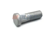 Radbolzen AUGER 65585