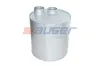 Mittel-/Endschalld&auml;mpfer AUGER 69978