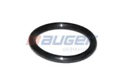 Dichtung, Zylinderkopf AUGER 74818