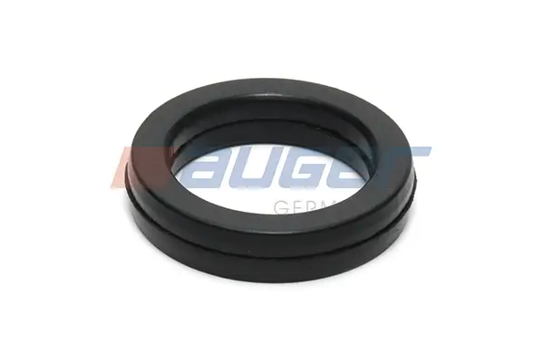 Dichtung, Wasserpumpe AUGER 79012
