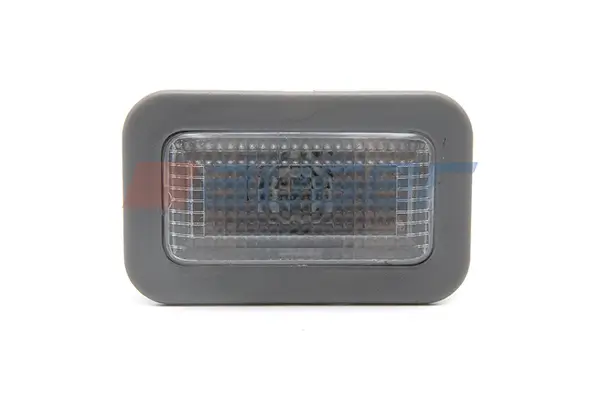 Einstiegsleuchte AUGER 82598