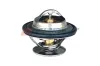 Thermostat, K&uuml;hlmittel AUGER 87659