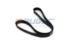 Keilrippenriemen AUGER 87721