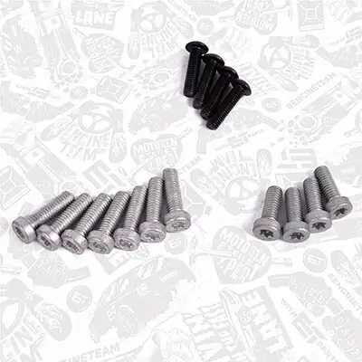 Reparatursatz, Unterdruckpumpe (Bremsanlage) ET ENGINETEAM TM0024 Bild Reparatursatz, Unterdruckpumpe (Bremsanlage) ET ENGINETEAM TM0024