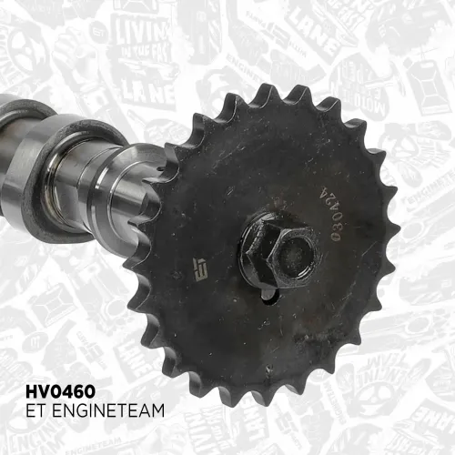 Nockenwellensatz Einlassseite Auslassseite ET ENGINETEAM HV0461 Bild Nockenwellensatz Einlassseite Auslassseite ET ENGINETEAM HV0461