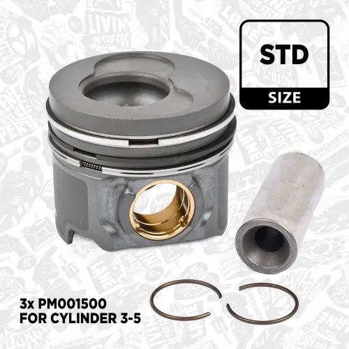 Kolben für Zylinder 1-5 ET ENGINETEAM PM013700 Bild Kolben für Zylinder 1-5 ET ENGINETEAM PM013700