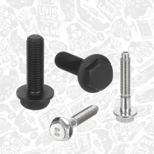 Steuerkettensatz ET ENGINETEAM RS0143 Bild Steuerkettensatz ET ENGINETEAM RS0143