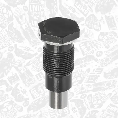 Spanner, Steuerkette ET ENGINETEAM RT0012 Bild Spanner, Steuerkette ET ENGINETEAM RT0012