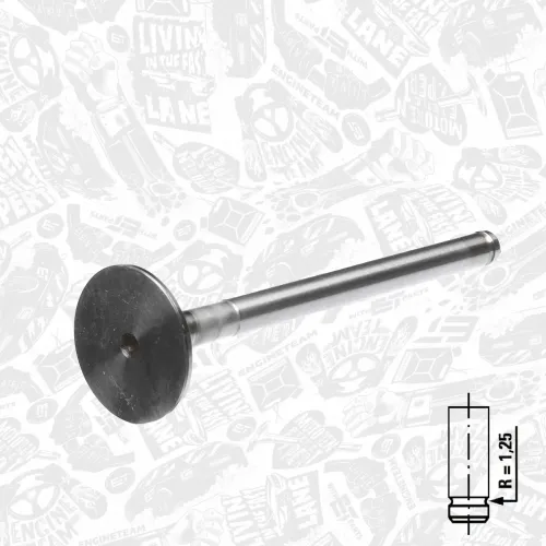 Zahnriemensatz ET ENGINETEAM RM0023 Bild Zahnriemensatz ET ENGINETEAM RM0023