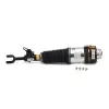 Luftfederbein vorne links Arnott AS-2817 Bild Luftfederbein vorne links Arnott AS-2817