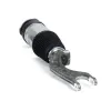 Luftfederbein vorne Arnott AS-3176 Bild Luftfederbein vorne Arnott AS-3176