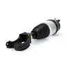 Luftfederbein vorne links Arnott AS-3236 Bild Luftfederbein vorne links Arnott AS-3236
