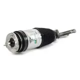Luftfederbein vorne Arnott AS-3751