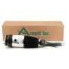 Luftfederbein vorne Arnott AS-3751 Bild Luftfederbein vorne Arnott AS-3751