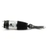 Luftfederbein vorne Arnott AS-3751 Bild Luftfederbein vorne Arnott AS-3751