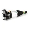 Luftfederbein vorne Arnott ASE-3631 Bild Luftfederbein vorne Arnott ASE-3631