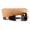 Luftfederbein vorne Arnott ASE-3631 Bild Luftfederbein vorne Arnott ASE-3631
