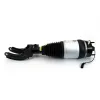 Luftfederbein Vorderachse links Arnott ASE-4374 Bild Luftfederbein Vorderachse links Arnott ASE-4374