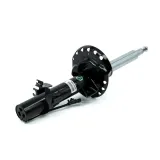 Stoßdämpfer Vorderachse links Arnott MR-5089