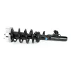 Stoßdämpfer Vorderachse links Arnott SK-3605 Bild Stoßdämpfer Vorderachse links Arnott SK-3605