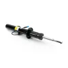 Stoßdämpfer Vorderachse links Arnott SK-5085 Bild Stoßdämpfer Vorderachse links Arnott SK-5085