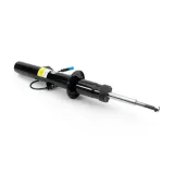 Stoßdämpfer Vorderachse links Arnott SK-5085