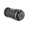Luftfeder, Fahrwerk hinten Arnott A-2596 Bild Luftfeder, Fahrwerk hinten Arnott A-2596