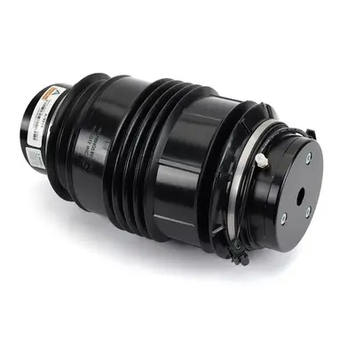 Luftfeder, Fahrwerk hinten links Arnott A-3314