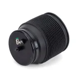 Luftfeder, Fahrwerk hinten links Arnott A-3332
