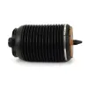 Luftfeder, Fahrwerk hinten links Arnott A-3892 Bild Luftfeder, Fahrwerk hinten links Arnott A-3892