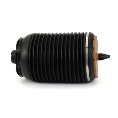 Luftfeder, Fahrwerk hinten links Arnott A-3892 Bild Luftfeder, Fahrwerk hinten links Arnott A-3892