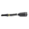 Luftfederbein vorne Arnott AS-2450 Bild Luftfederbein vorne Arnott AS-2450