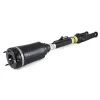 Luftfederbein vorne Arnott AS-2463 Bild Luftfederbein vorne Arnott AS-2463