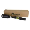 Luftfederbein vorne Arnott AS-2463 Bild Luftfederbein vorne Arnott AS-2463