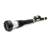 Luftfederbein hinten links Arnott AS-2604
