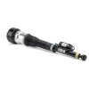 Luftfederbein hinten links Arnott AS-2604 Bild Luftfederbein hinten links Arnott AS-2604