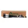 Luftfederbein hinten links Arnott AS-2604 Bild Luftfederbein hinten links Arnott AS-2604