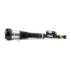 Luftfederbein hinten links Arnott AS-2604 Bild Luftfederbein hinten links Arnott AS-2604