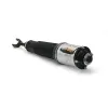 Luftfederbein vorne links Arnott AS-2776 Bild Luftfederbein vorne links Arnott AS-2776