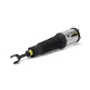 Luftfederbein vorne links Arnott AS-2776 Bild Luftfederbein vorne links Arnott AS-2776
