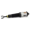 Luftfederbein vorne links Arnott AS-2776 Bild Luftfederbein vorne links Arnott AS-2776
