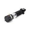 Luftfederbein hinten links Arnott AS-2824 Bild Luftfederbein hinten links Arnott AS-2824