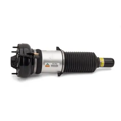 Luftfederbein vorne Arnott AS-2864 Bild Luftfederbein vorne Arnott AS-2864