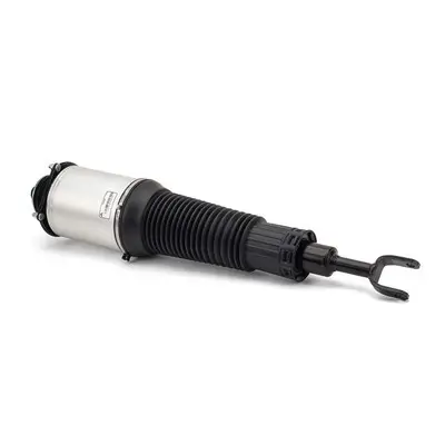 Luftfederbein vorne links Arnott AS-2893 Bild Luftfederbein vorne links Arnott AS-2893