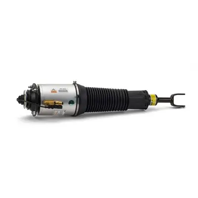 Luftfederbein vorne links Arnott AS-2893 Bild Luftfederbein vorne links Arnott AS-2893